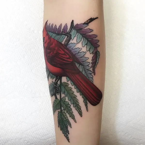 Flower, Animal, Nature