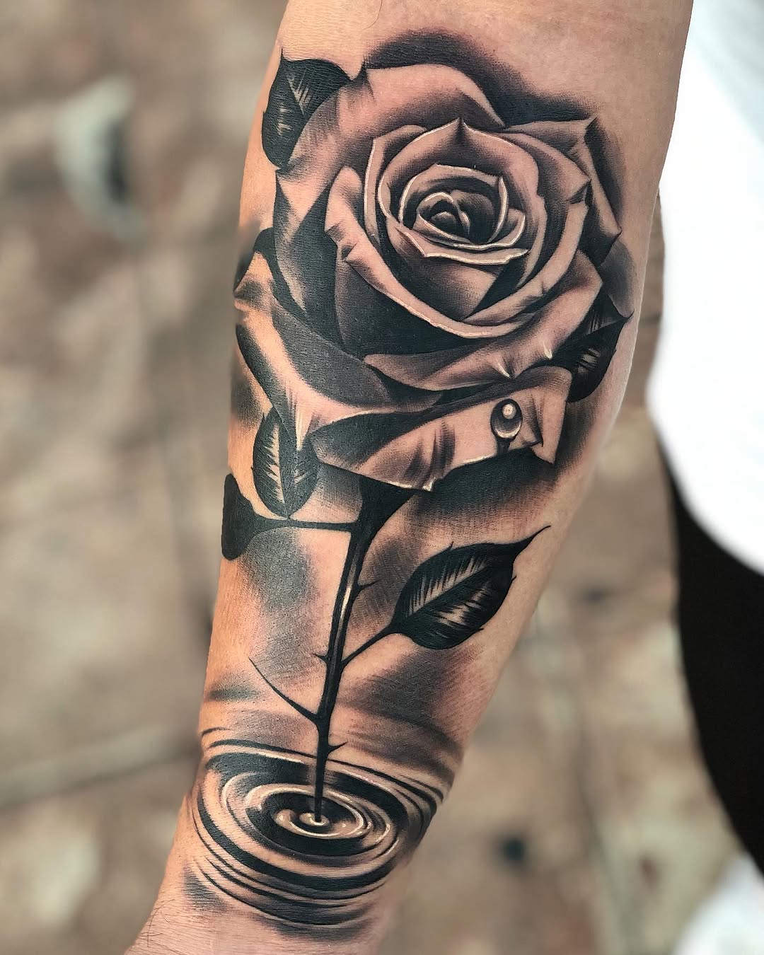 Flower, Rose