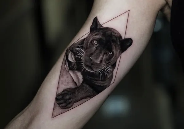 Animal