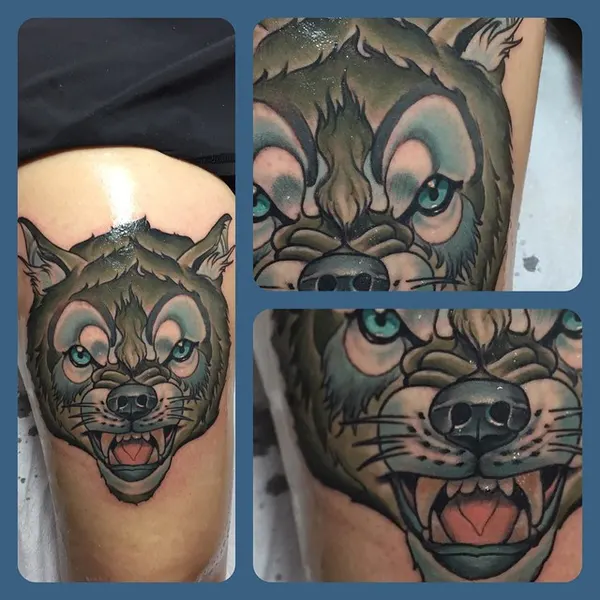 Tiger, Animal