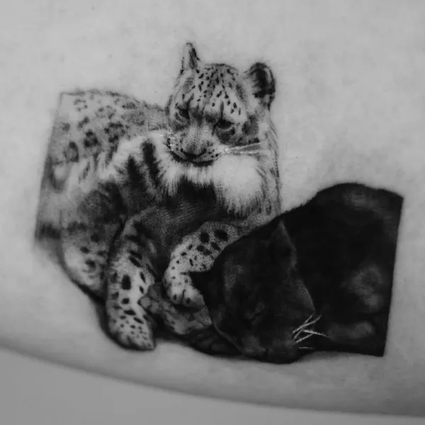 Animal, Tiger