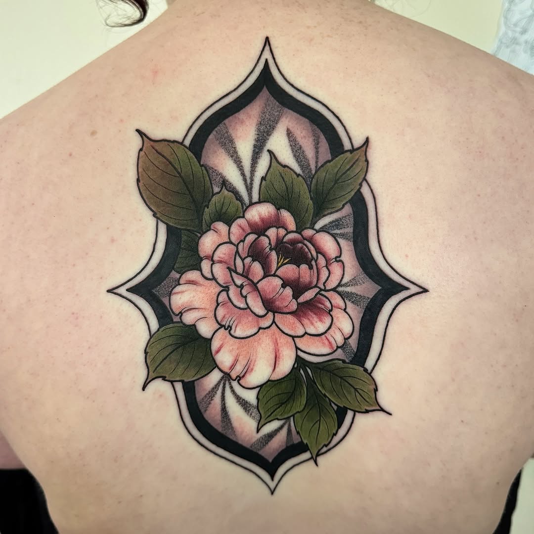 Flower, Rose, Nature