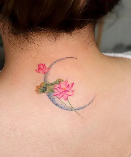 Flower, 한국 연꽃, 연꽃