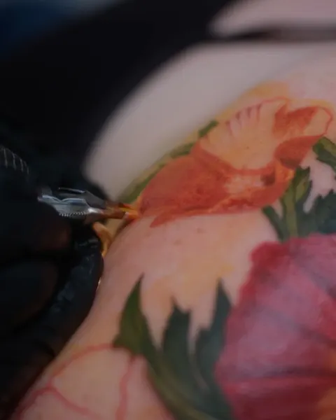 Rose, Flower, 히비스커스, 꽃 배경, 탄생화