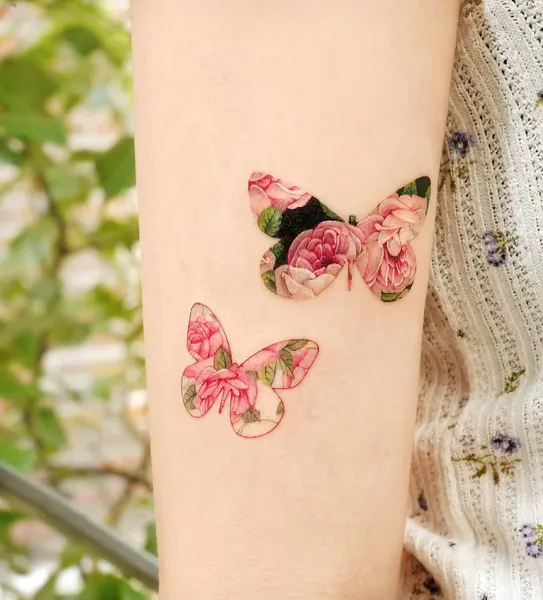 Animal, Nature