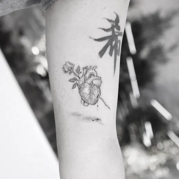 Flower, Rose