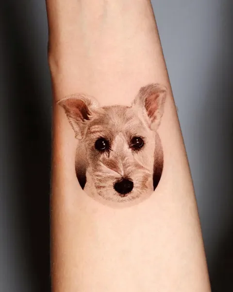Animal