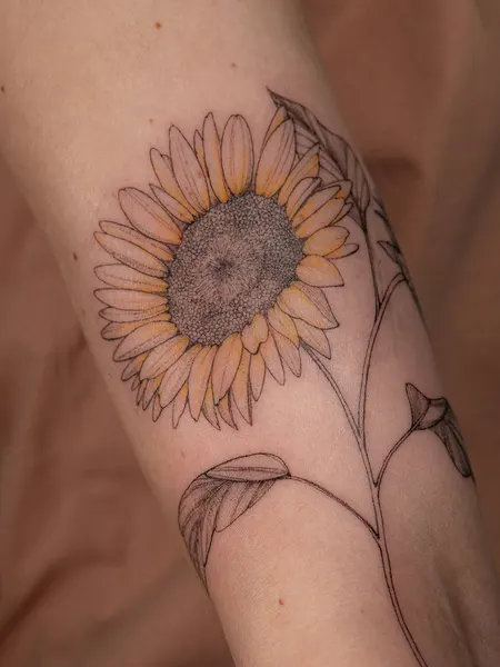 Flower, 해바라기
