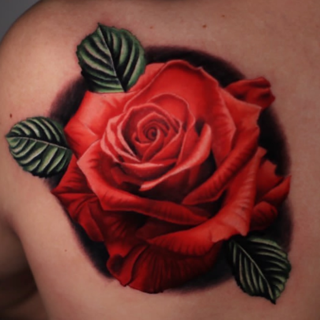 Flower, Rose, Nature