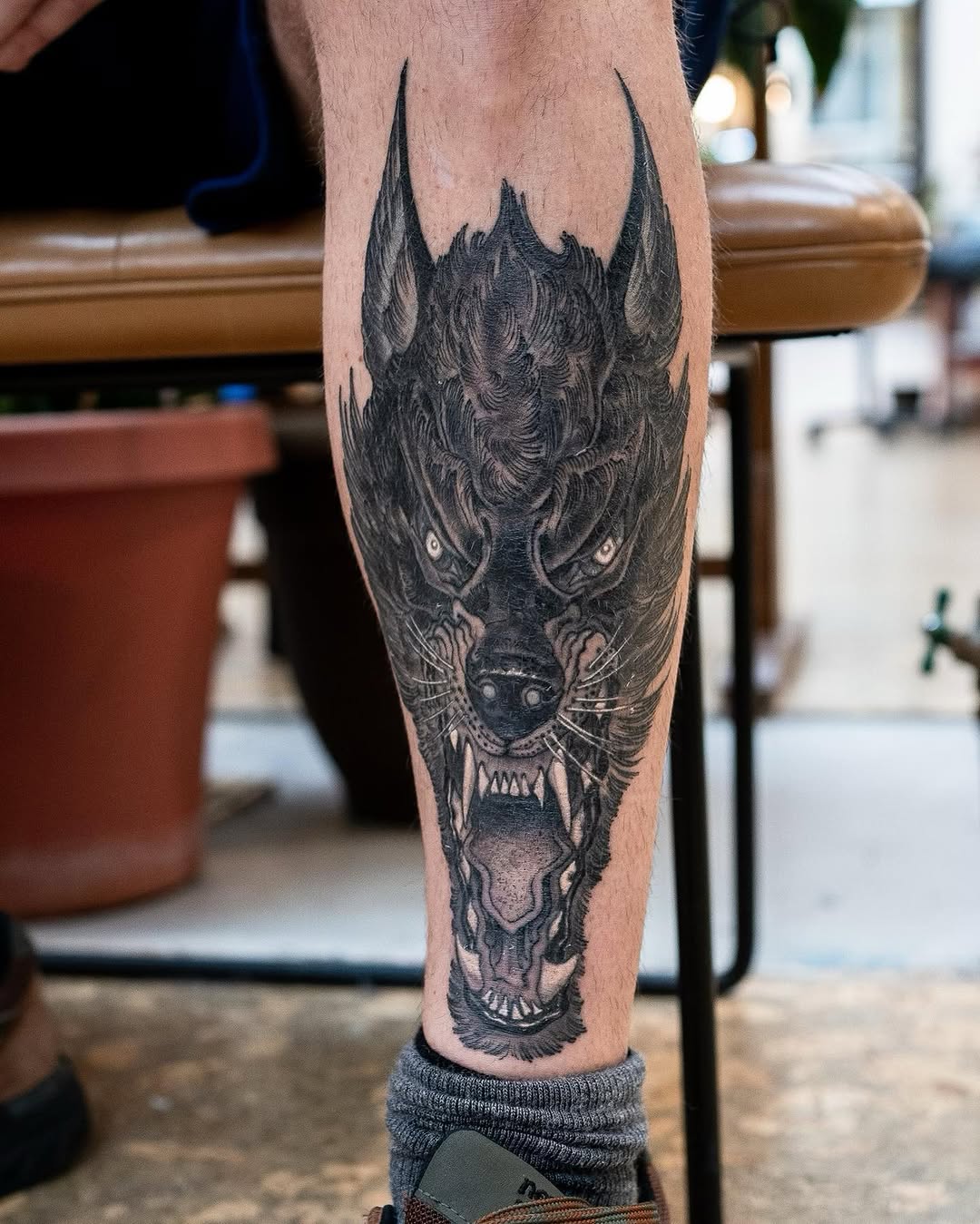 Tiger, Animal