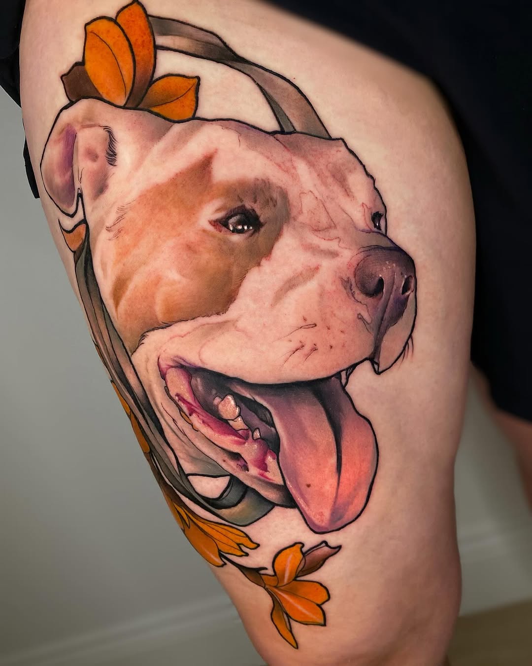 Animal
