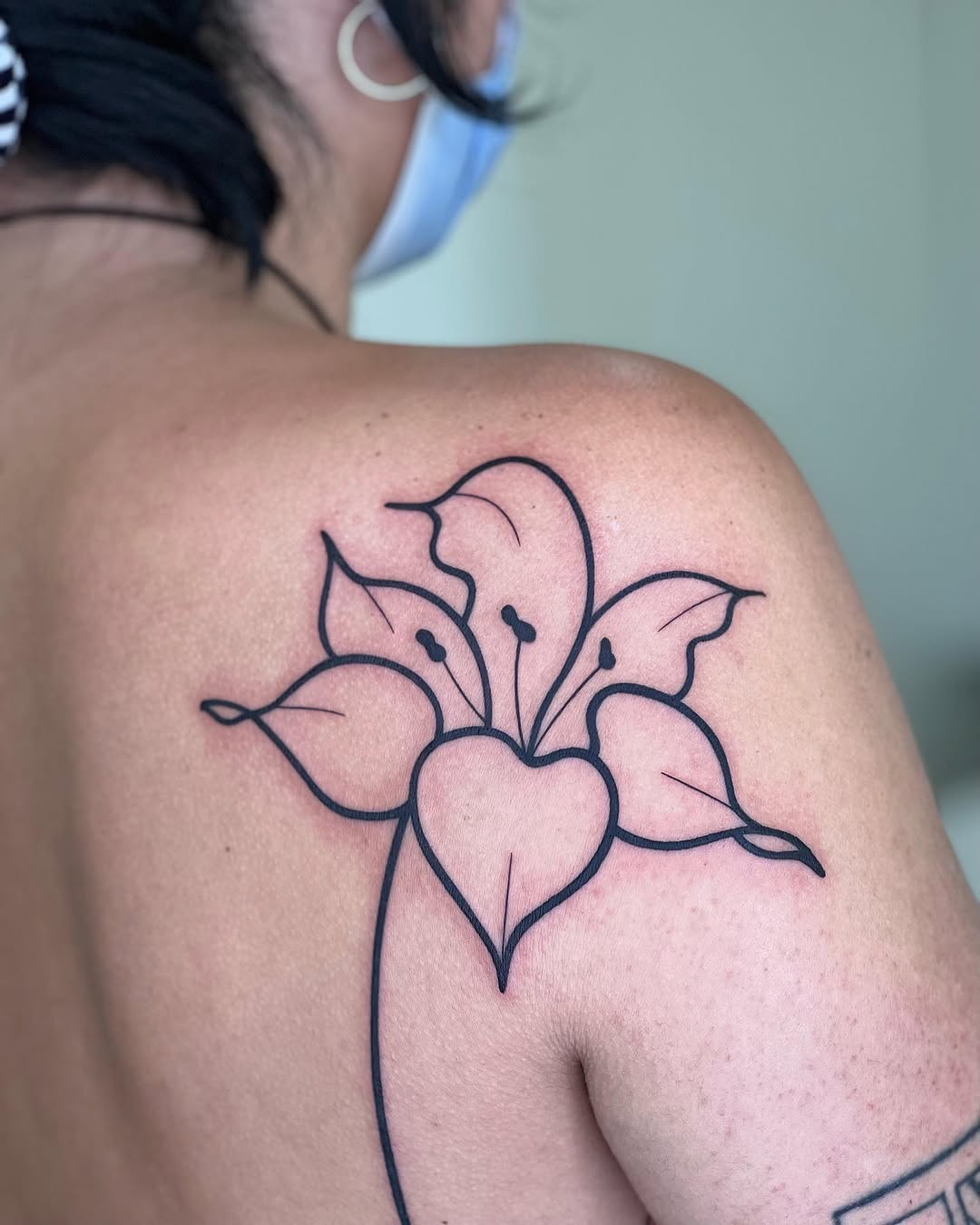 Flower, Nature