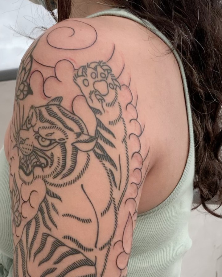 Tiger, Animal