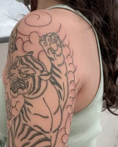 Tiger, Animal