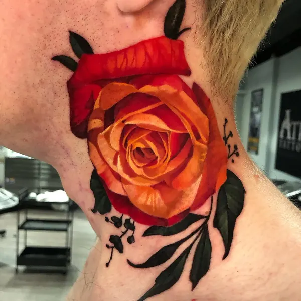 Flower, Rose, Nature