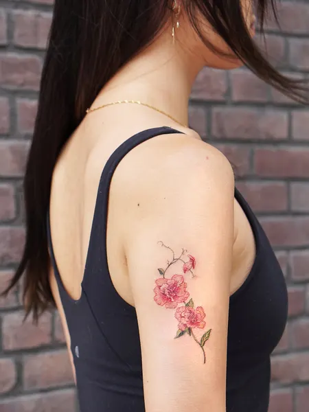 Flower, Rose, Nature