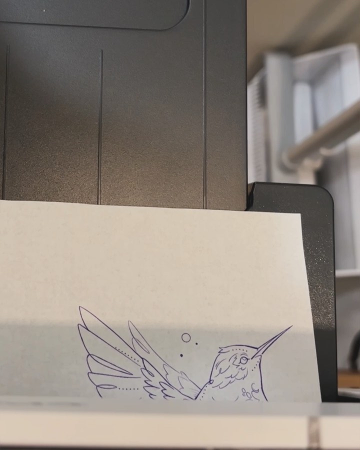 벌새, 비둘기, 새