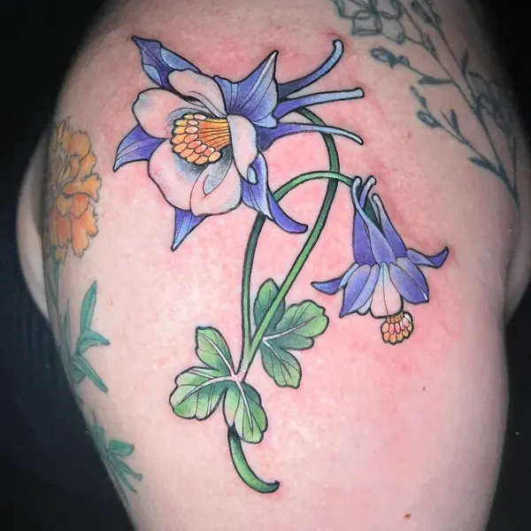 Flower, Nature