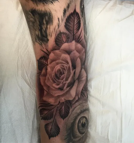 Flower, Rose