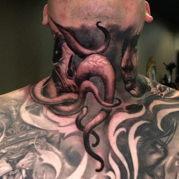 Animal, Dragon