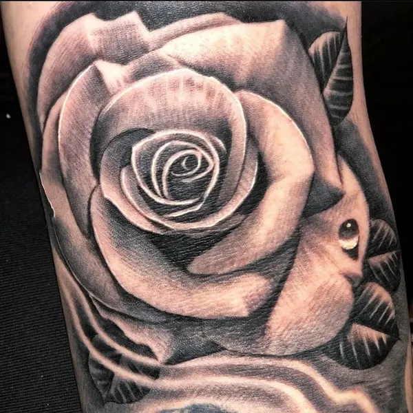 Flower, Rose