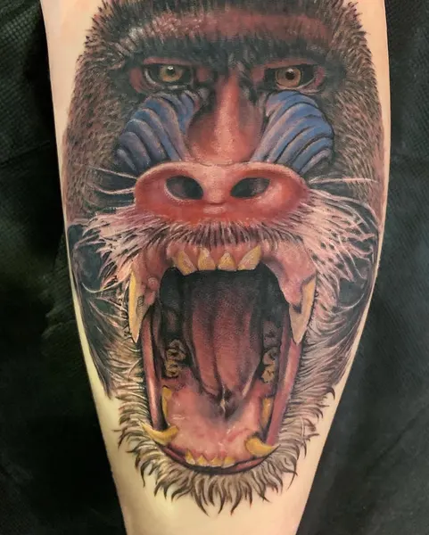 Tiger, Animal