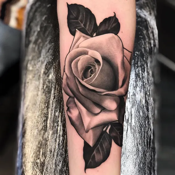 Flower, Rose