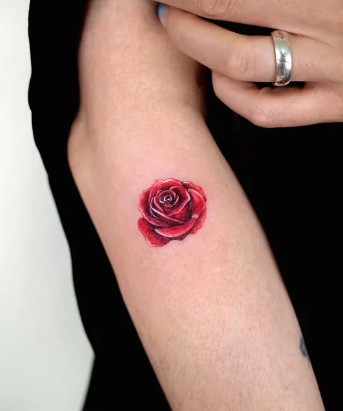 Flower, Rose