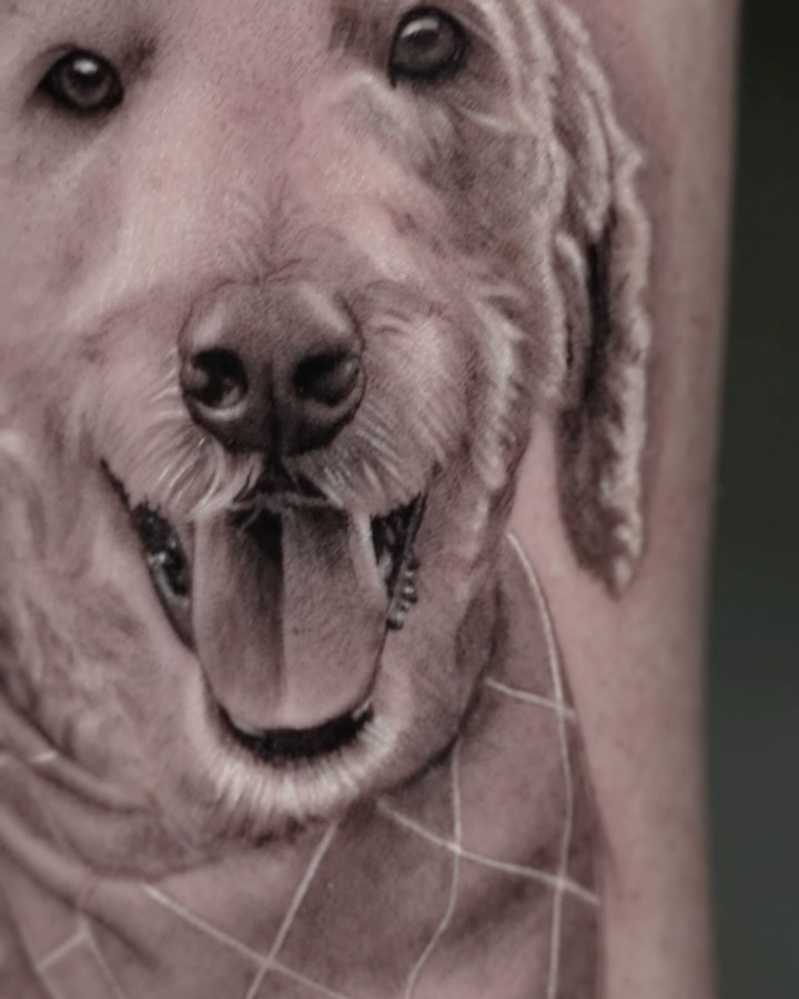 Animal