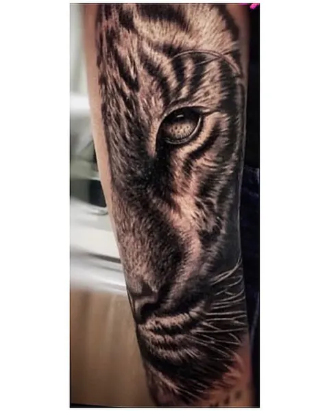Tiger