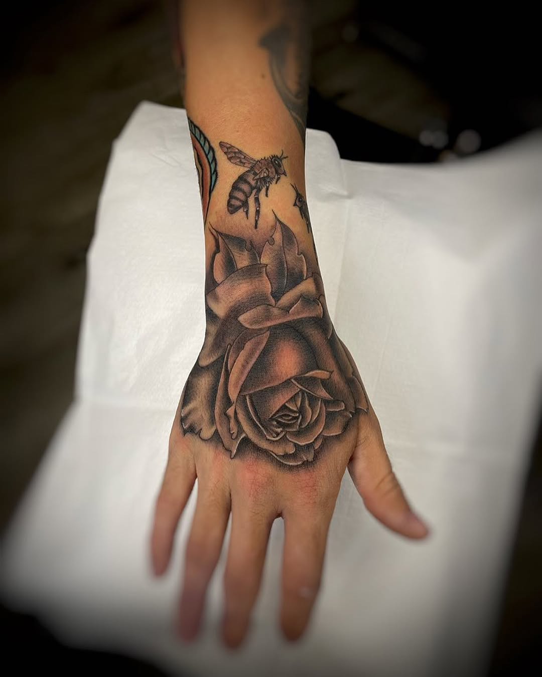 Flower, Rose