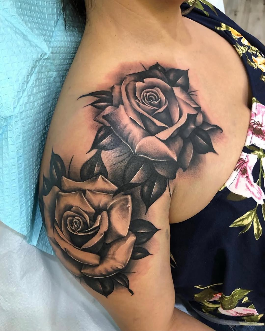 Flower, Rose, Nature