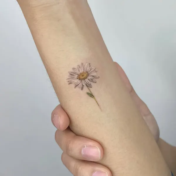 멘디, Flower, 국화, 데이지, 민들레, 야생화, 해바라기