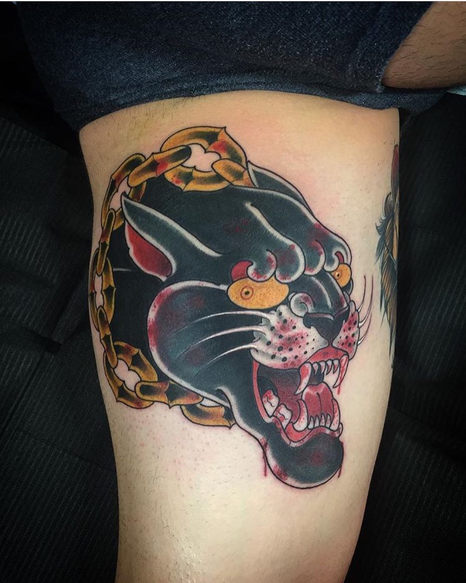 Animal, Tiger