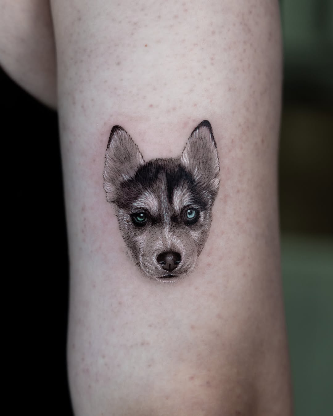 lewis.tattoo
