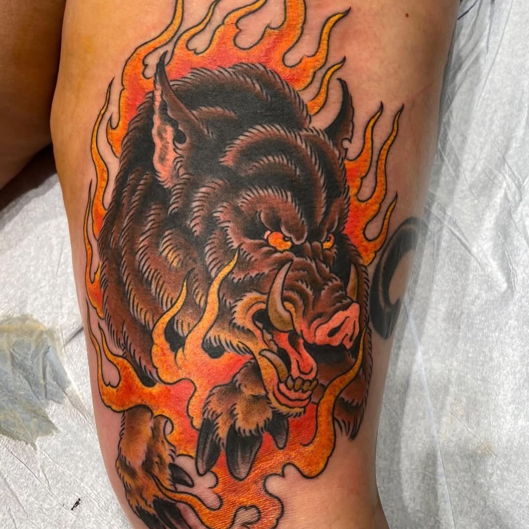 Tiger, Animal