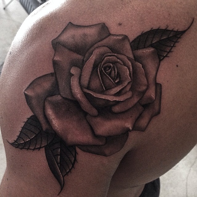 Flower, Rose, Nature