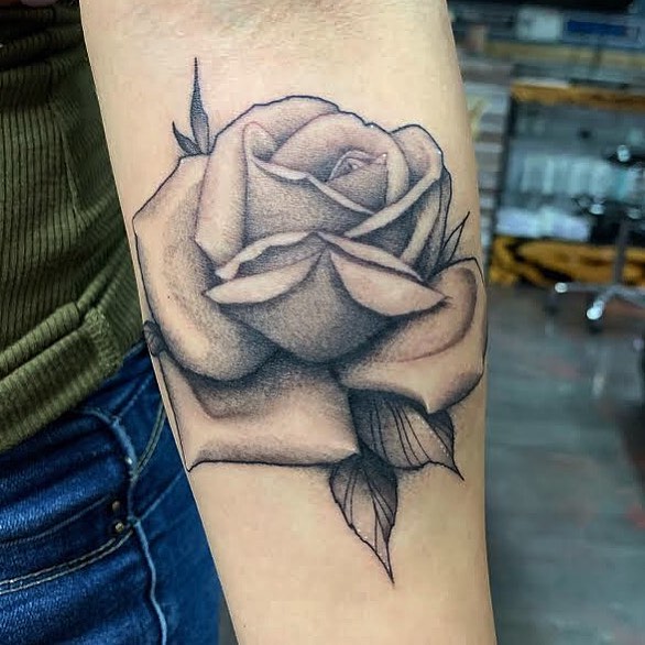 Flower, Rose