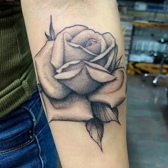 Flower, Rose