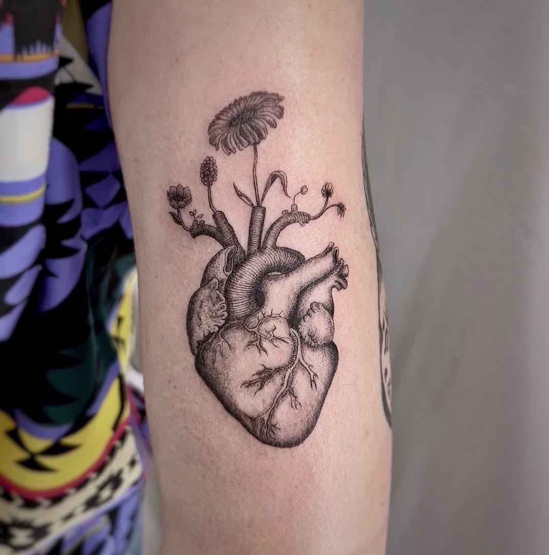 폐, Flower, 심장 해부도, 하트