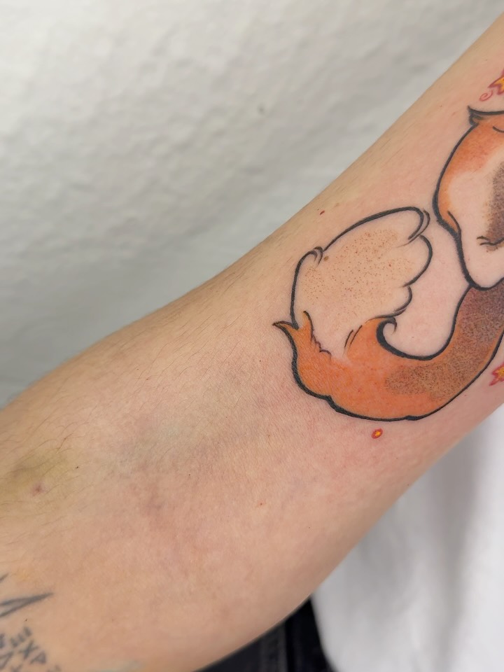 Animal, 여우