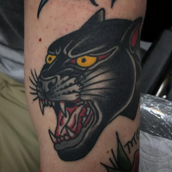 Animal, Tiger