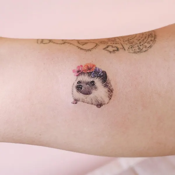 Mini, 고슴도치, 나무늘보