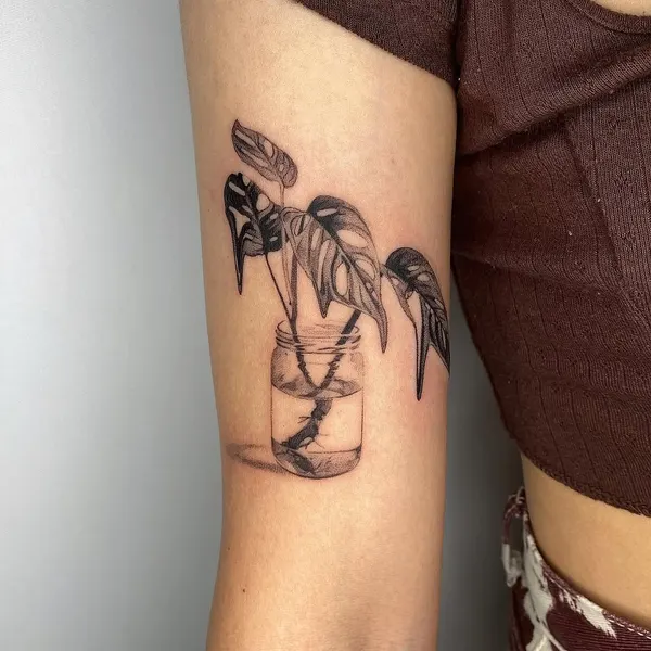 Flower, Rose, Nature