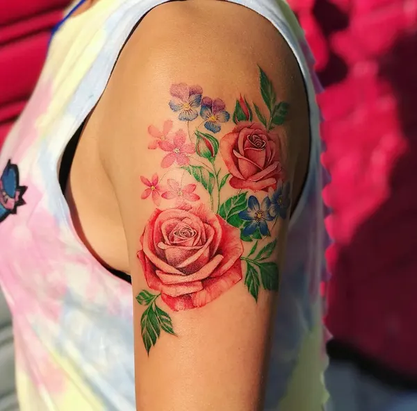 Flower, Rose, Nature
