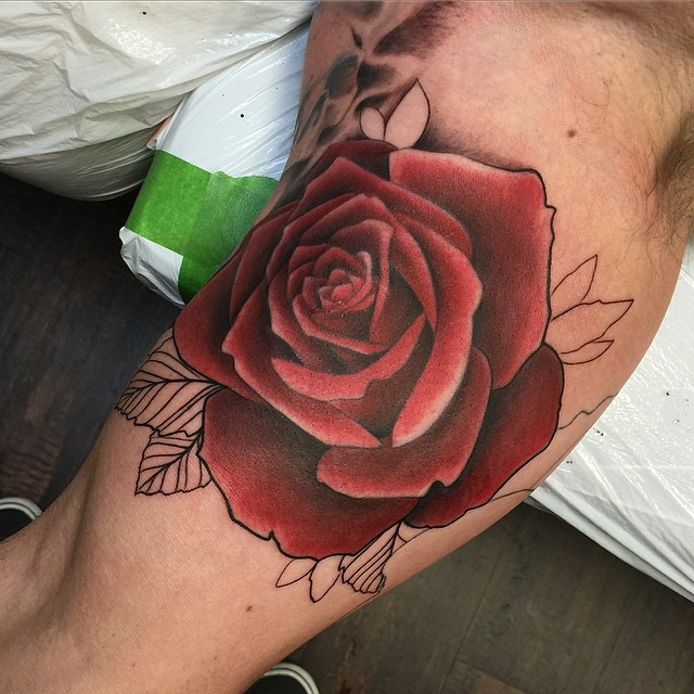 Flower, Rose