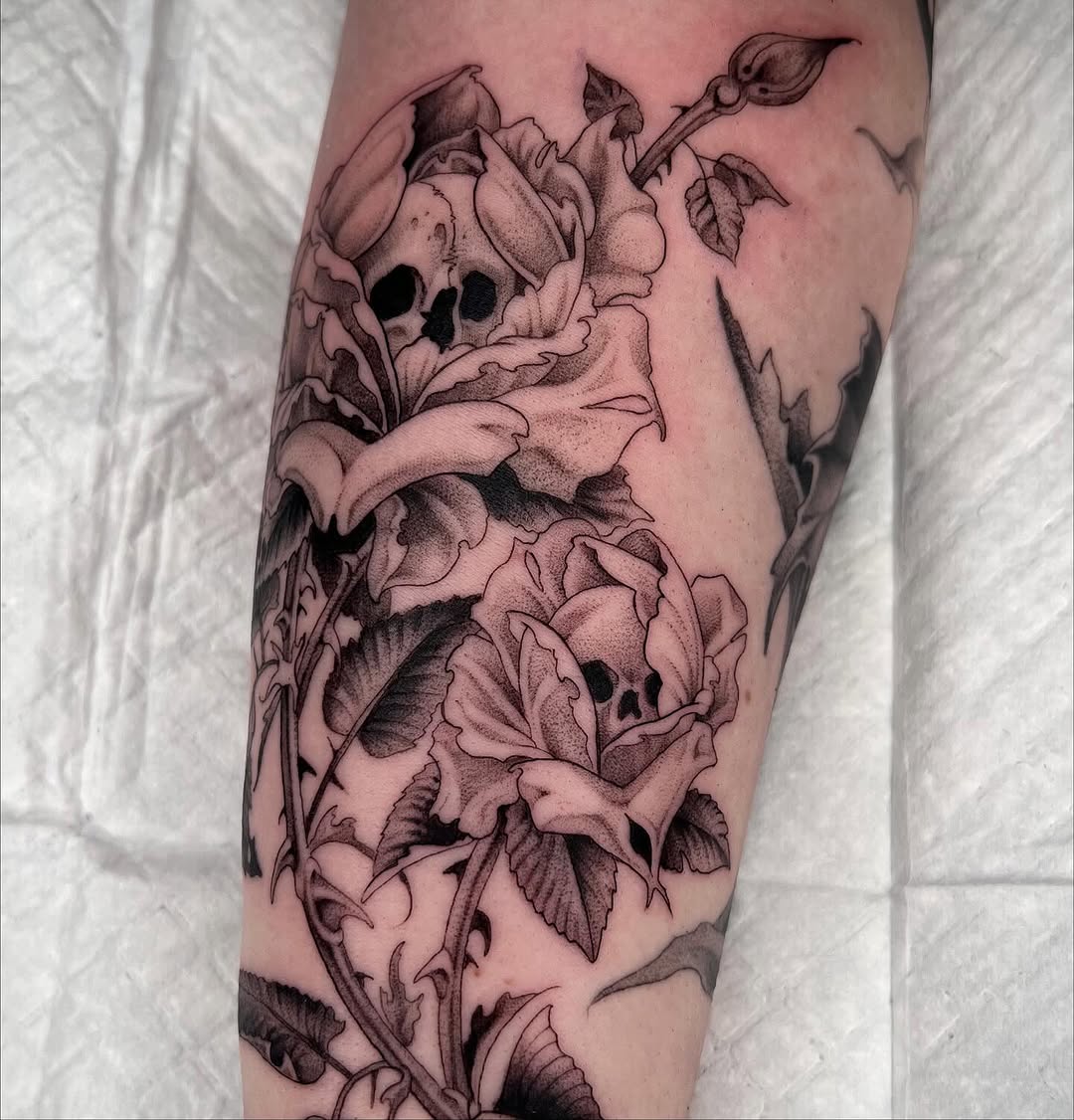 Flower, Rose
