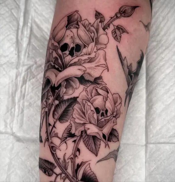 Flower, Rose
