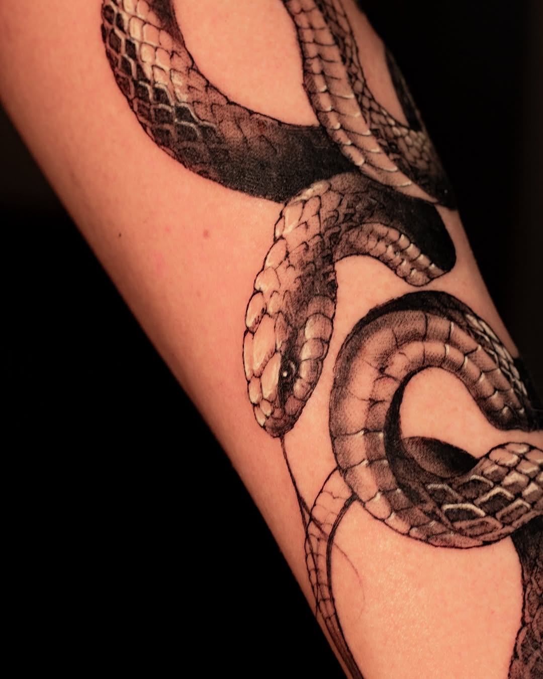 Snake
