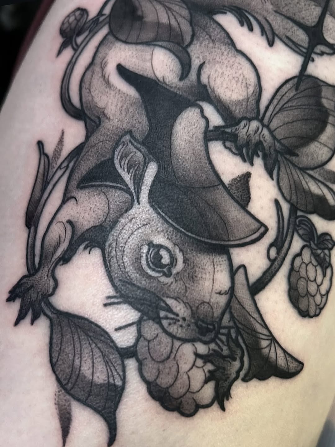 sarastigmata